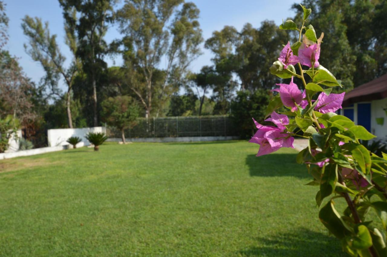 Casa Blanca B&B Latina Bagian luar foto